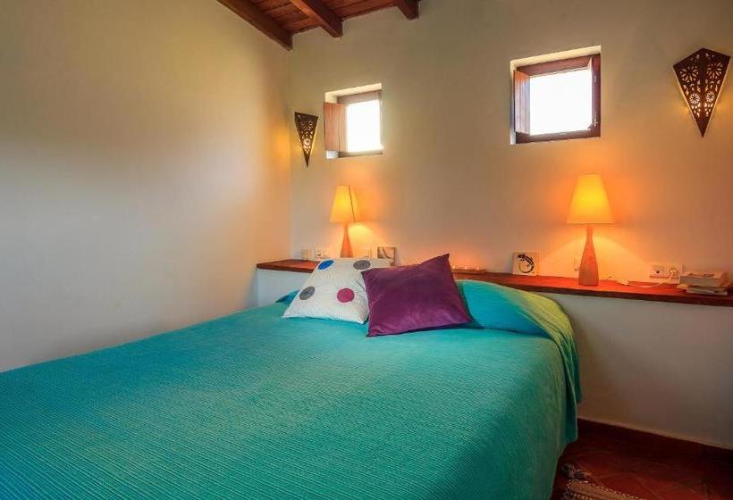 住宿加早餐 The New Laziness