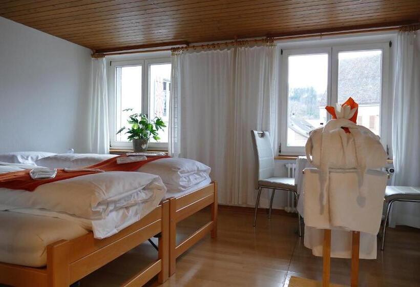 Bed and Breakfast Freihof Embrach