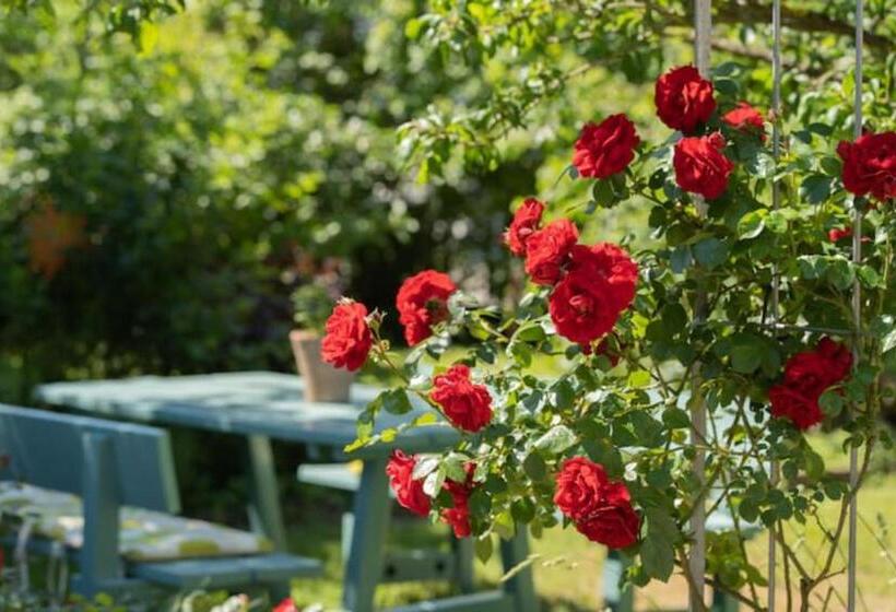 Bed and Breakfast Gästehaus Sonne