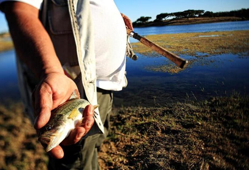 مبيت وإفطار Herdade Da Calada