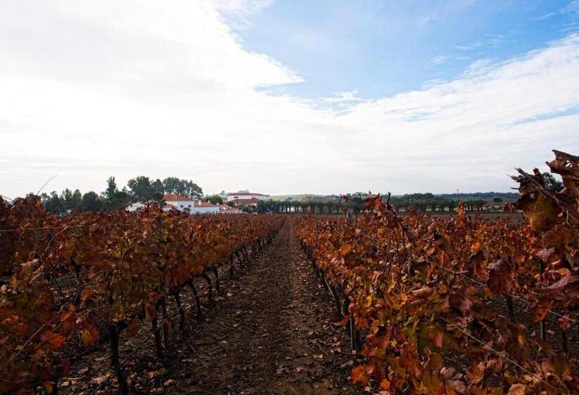 مبيت وإفطار Herdade Da Calada