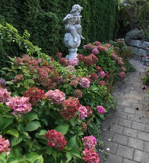 Bed And Breakfast Im Röseligarten