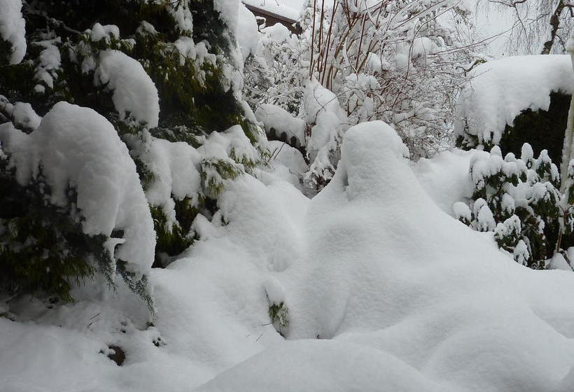 Bed And Breakfast Im Röseligarten
