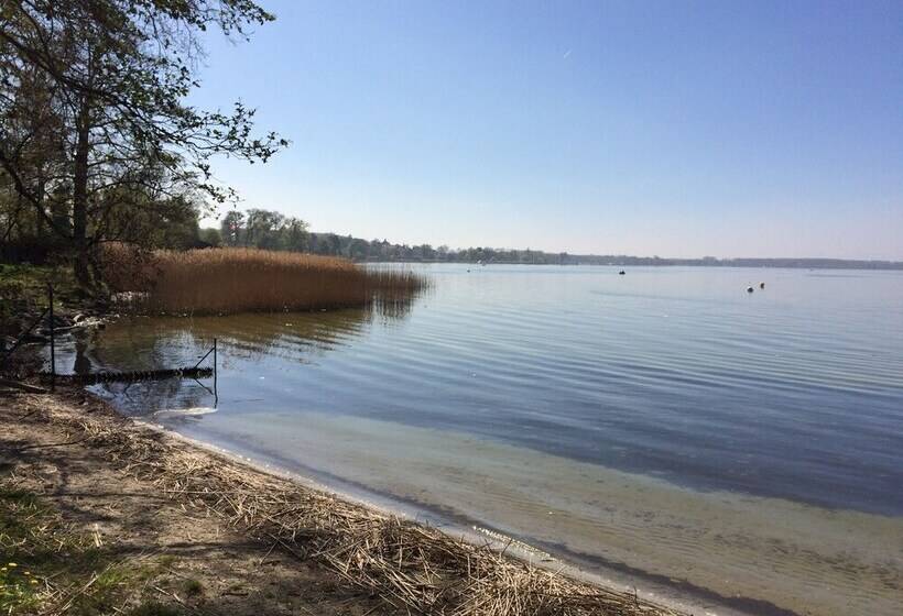 צימר Morat Gaste Zimmer