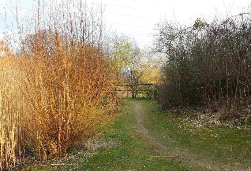 Bed and Breakfast Mybednbreakfast In Bottmingen