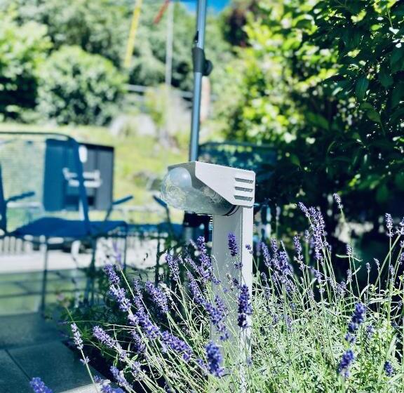 צימר Bed Bike And Breakfast Olten