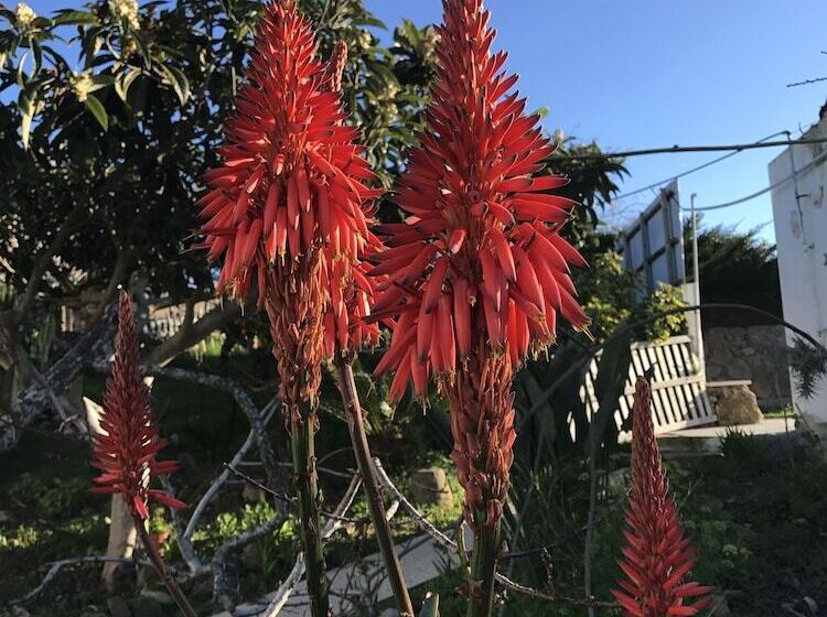 住宿加早餐 Porto Monte