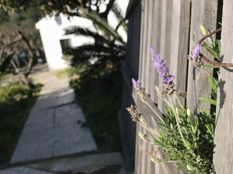 住宿加早餐 Porto Monte