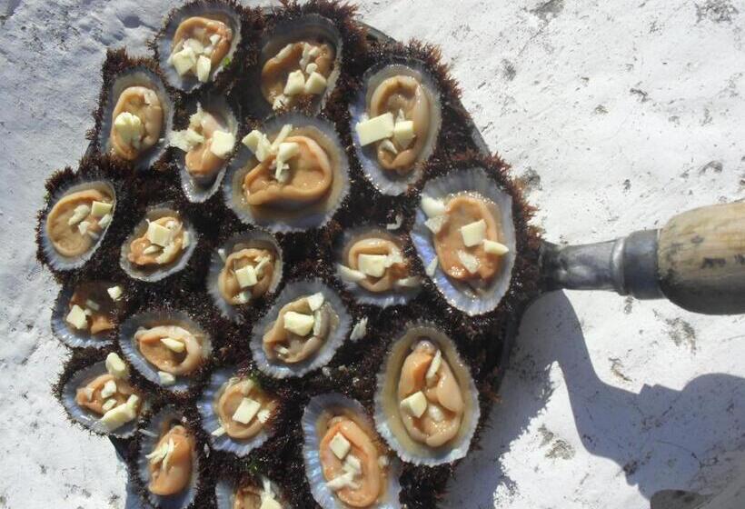 تختخواب و صبحانه Quinta Pero Vicente