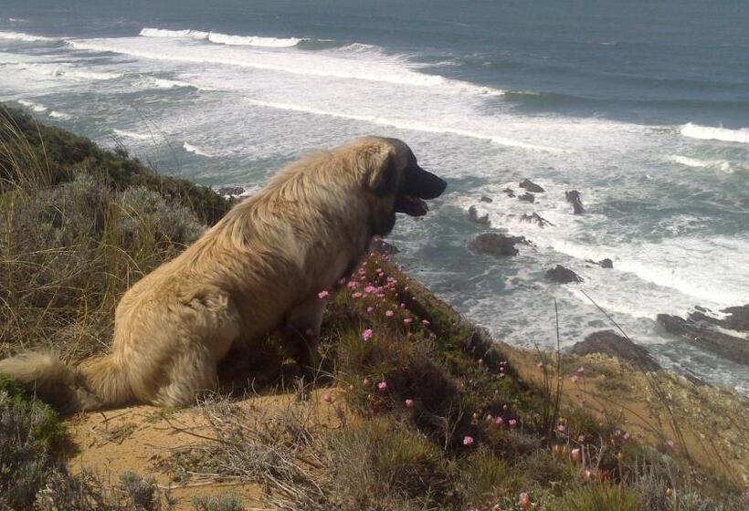 تختخواب و صبحانه Quinta Pero Vicente