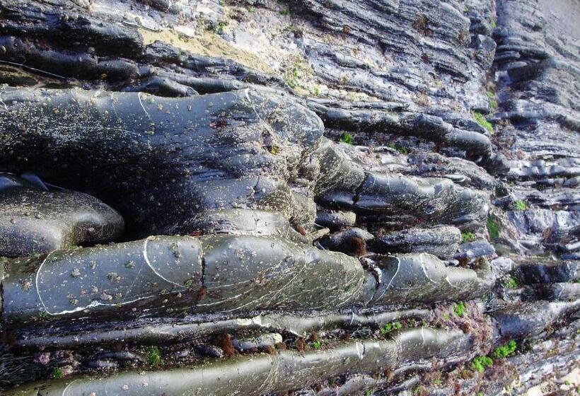 تختخواب و صبحانه Quinta Pero Vicente