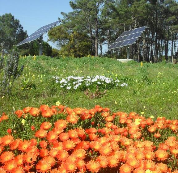 تختخواب و صبحانه Quinta Pero Vicente