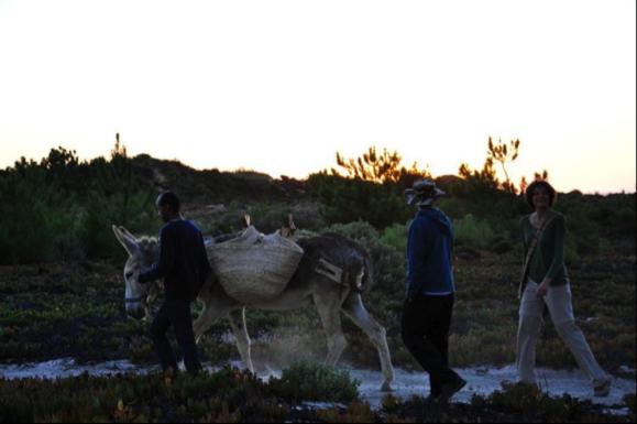 تختخواب و صبحانه Quinta Pero Vicente