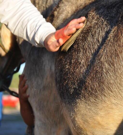 تختخواب و صبحانه Quinta Pero Vicente