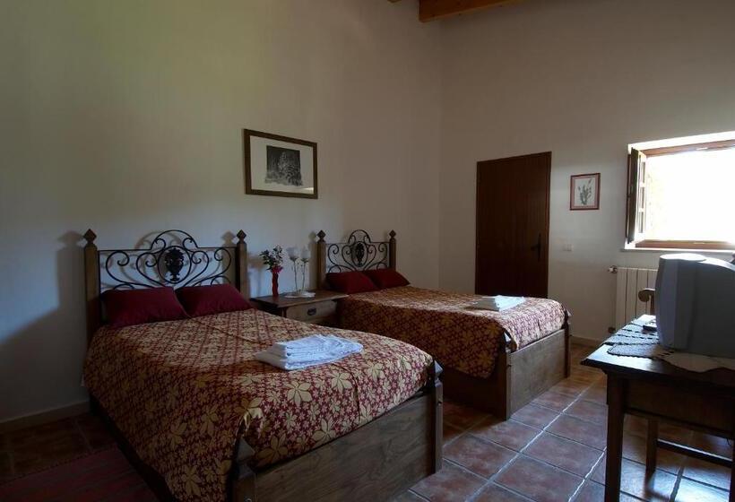 تختخواب و صبحانه Quinta Pero Vicente