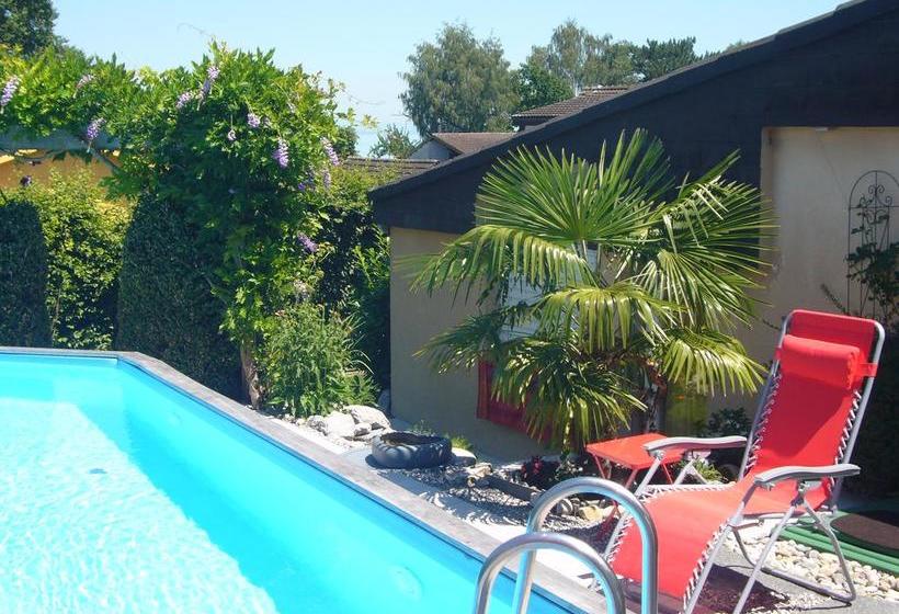مبيت وإفطار Reni S Oase Am Bodensee