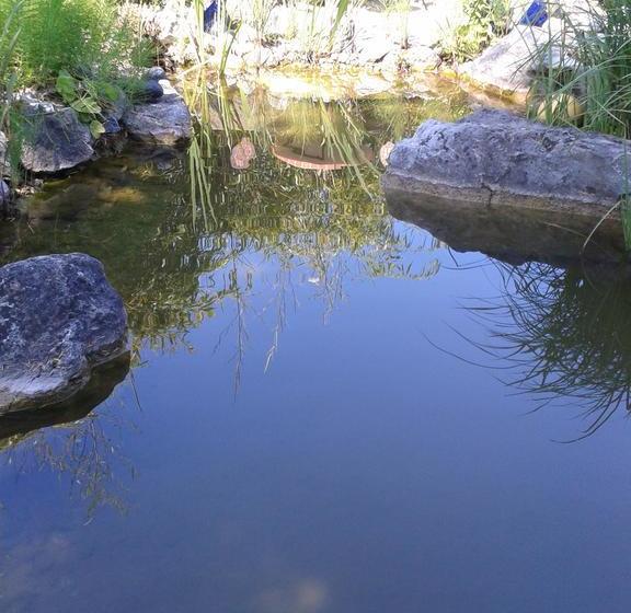 مبيت وإفطار Reni S Oase Am Bodensee