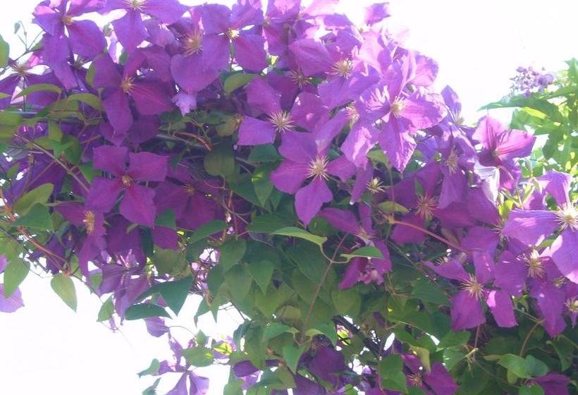 צימר Reni S Oase Am Bodensee