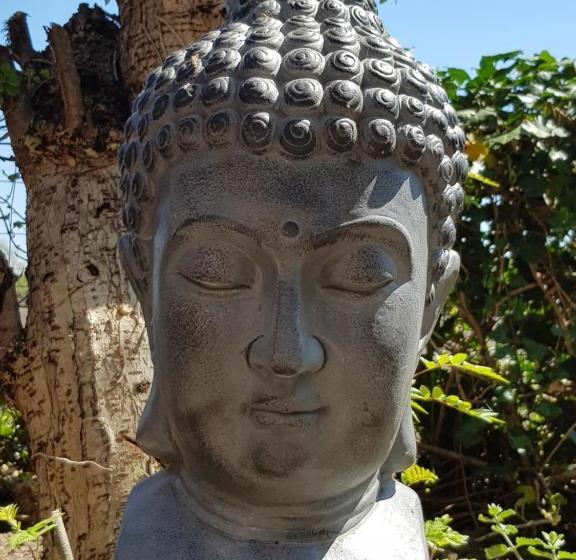 Bed & Breakfast De Lindehoek