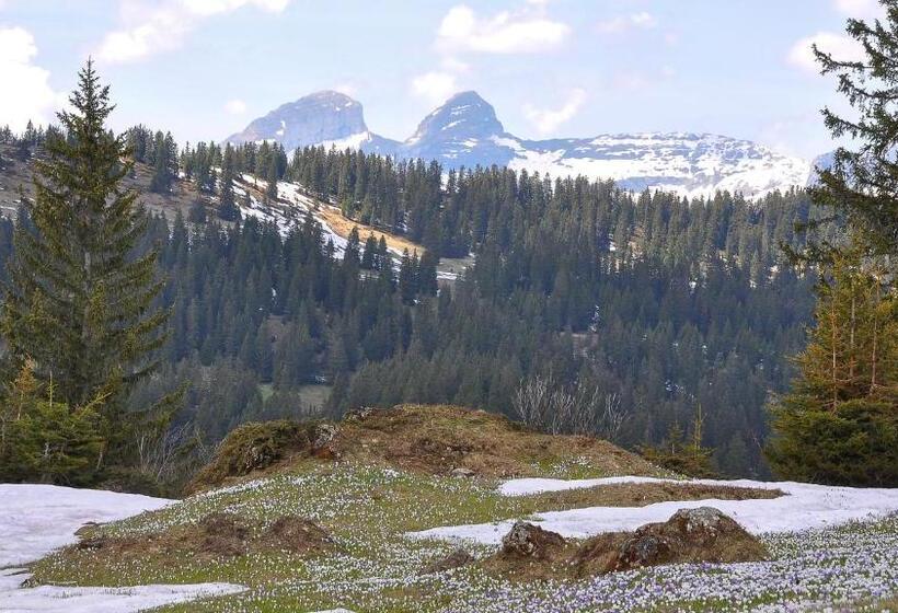 Bed & Breakfast L Epicéa