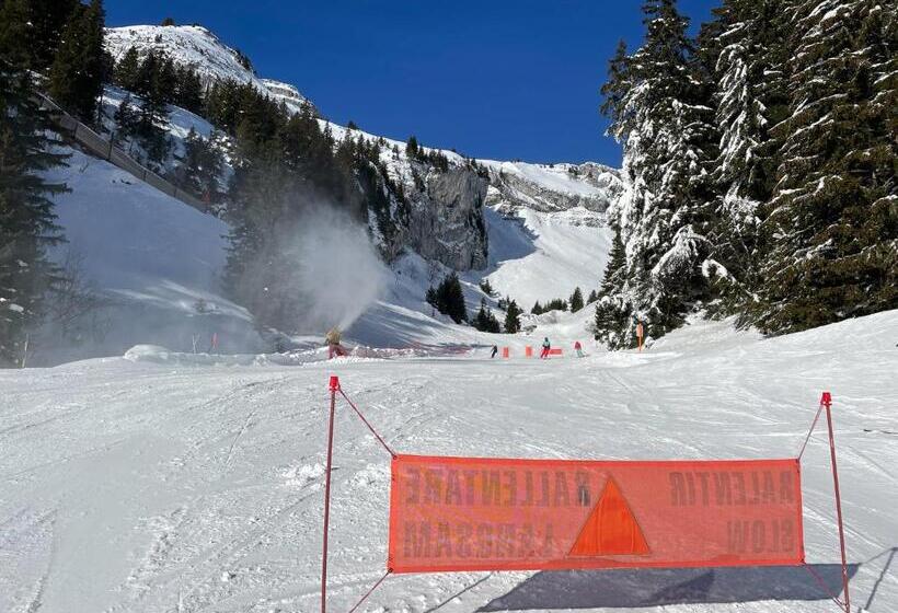 Bed & Breakfast L Epicéa