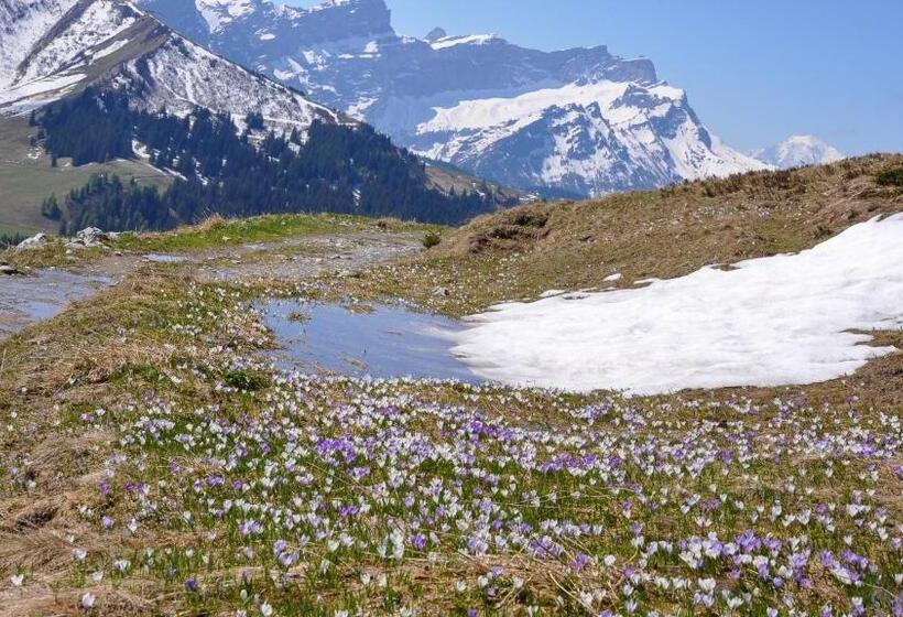 Bed & Breakfast L Epicéa