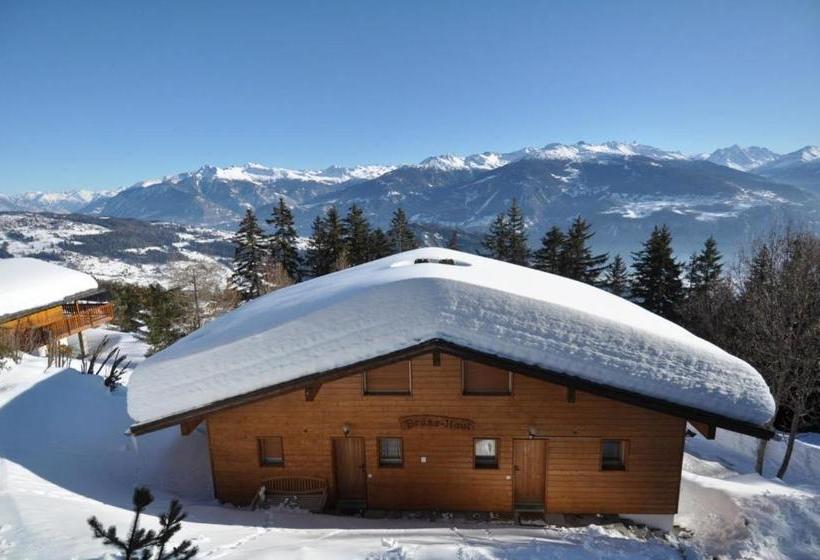 Chalet Brune Haute