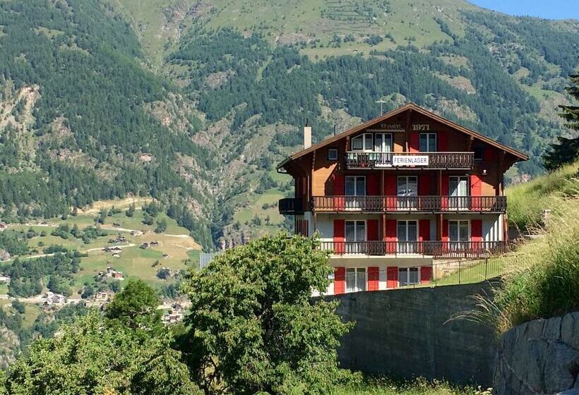 Gruppenhaus Rosy   Hostel