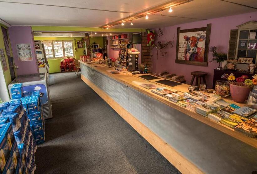 旅馆 Schutzenbach Backpackers For Adults 18 35