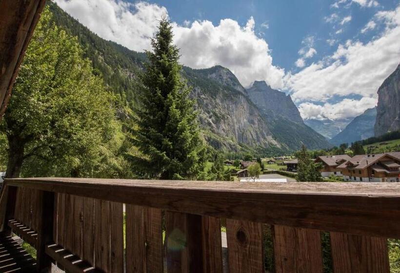 旅馆 Schutzenbach Backpackers For Adults 18 35