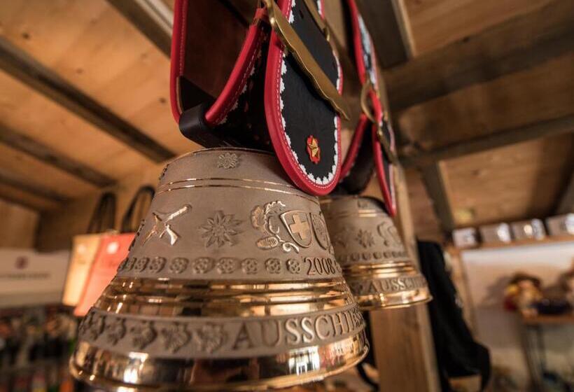 旅馆 Schutzenbach Backpackers For Adults 18 35