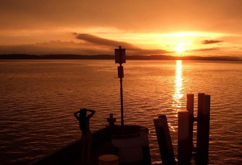 בית מלון כפרי Adler