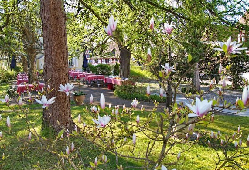 בית מלון כפרי Adler