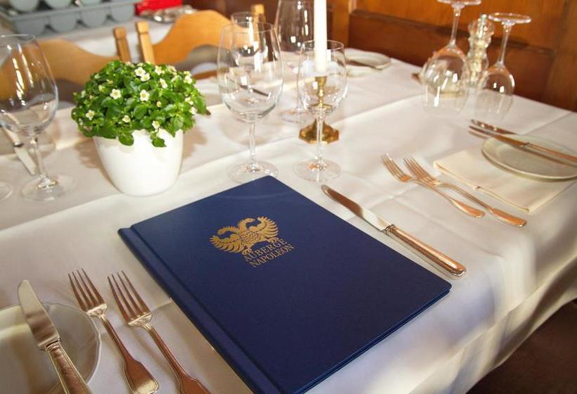 בית מלון כפרי Adler