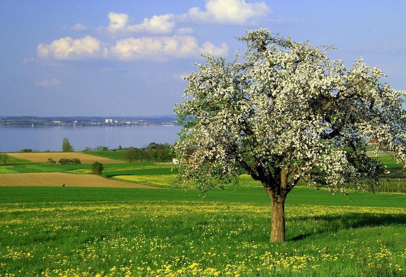 בית מלון כפרי Adler