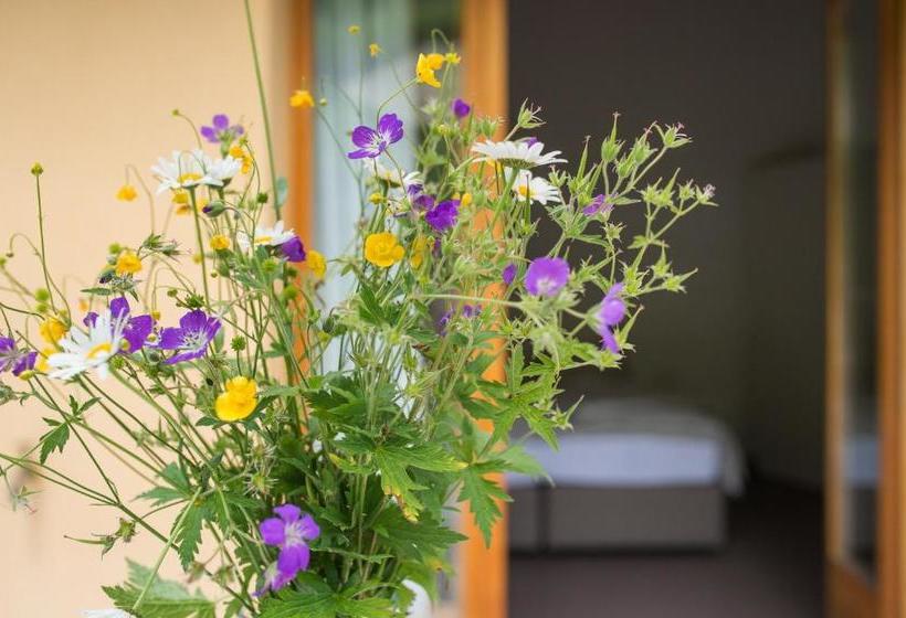 فندق Myverzasca Resort Ai Piee