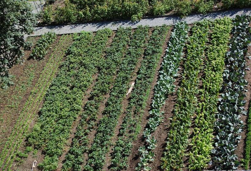 Отель Alpina Parpan