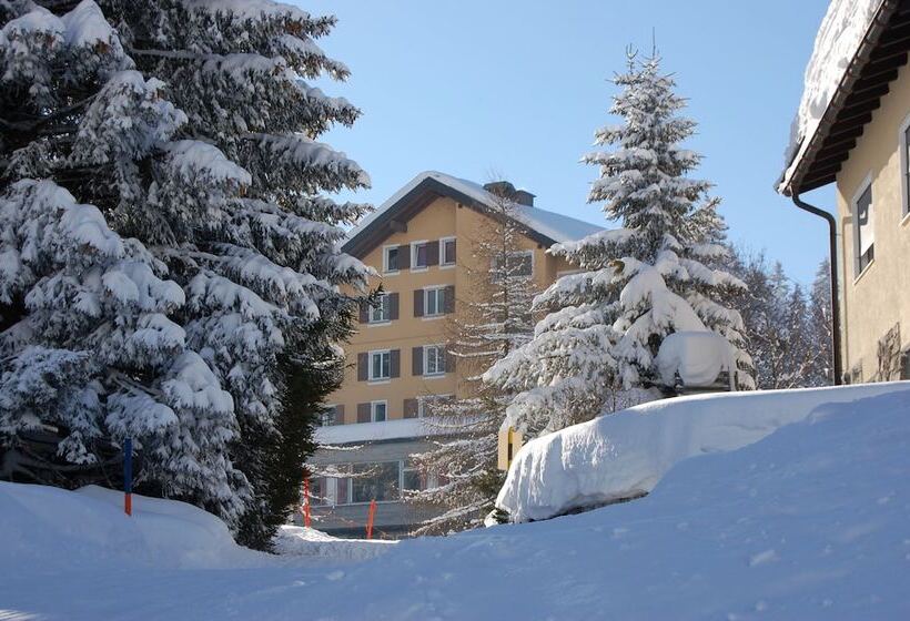 Отель Alpina Parpan