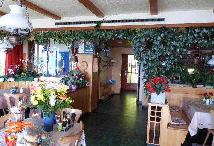 בית מלון כפרי Bellevue