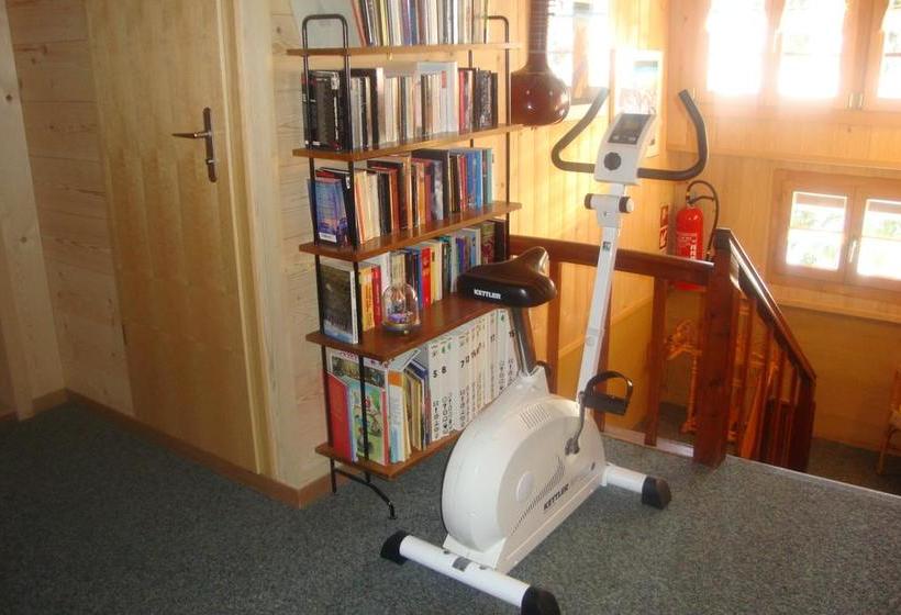 בית מלון כפרי Bietschhorn