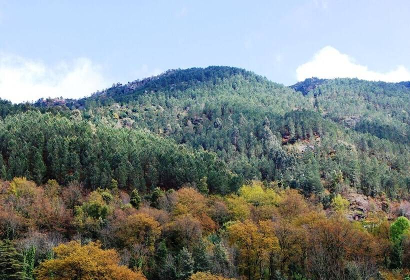 فندق Carvalho Araujo