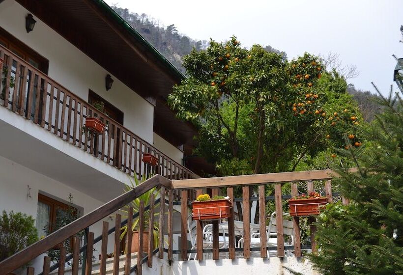 فندق Carvalho Araujo