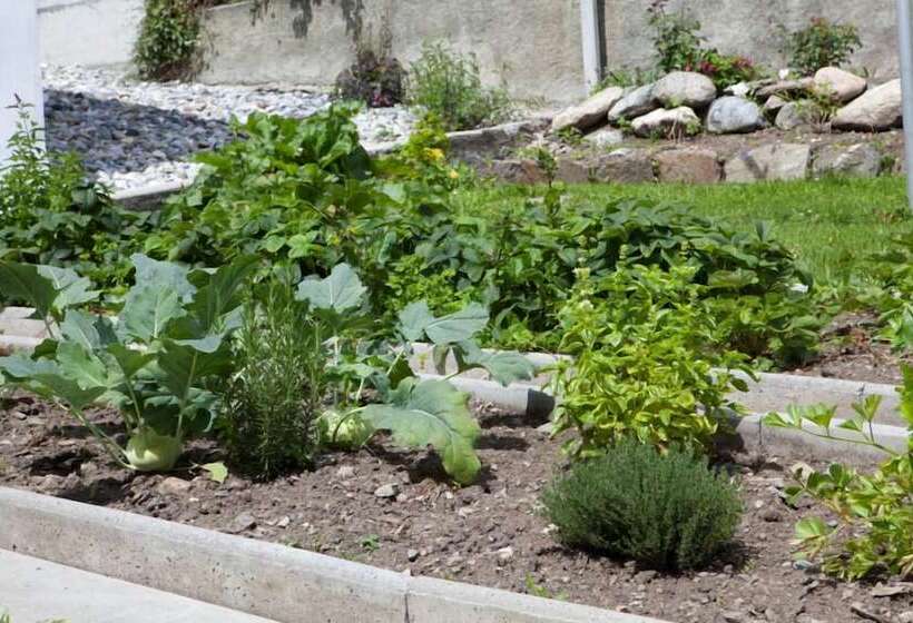 Отель Chasa Sofia