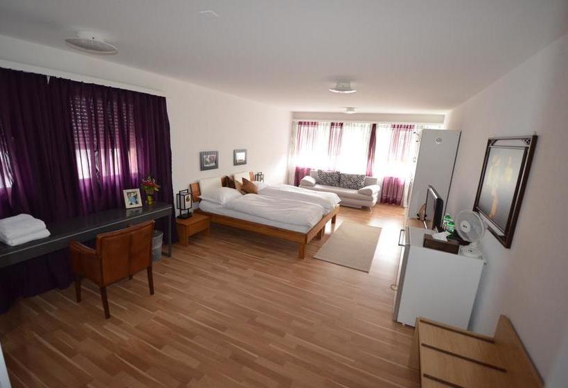 ホテル City  Wettingen