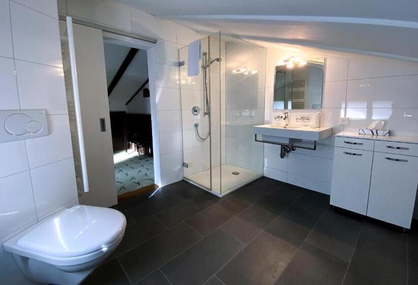 فندق Cresta Sedrun