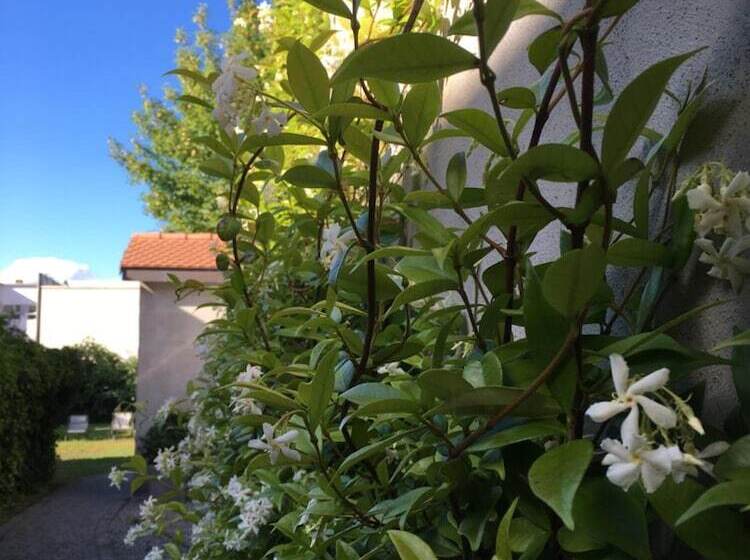 ホテル Hôtel Du Théâtre, Boutique Hôtel