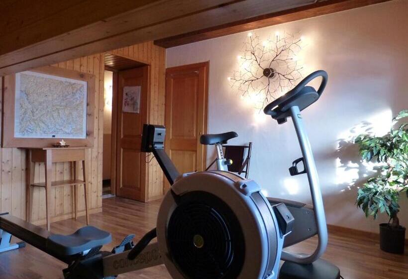 בית מלון כפרי Ermitage Verbier