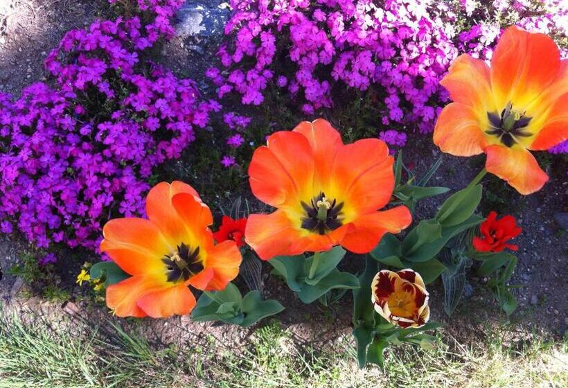 فندق Garni Rivabella Au Lac