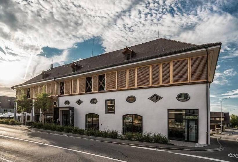 בית מלון כפרי Greuterhof Islikon