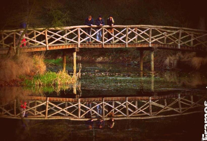 בית מלון כפרי Hcr Teernstra